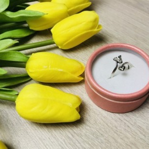 925 Sterling Silver Ring With the Letter 