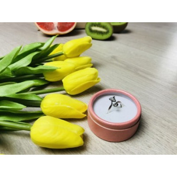 925 Sterling Silver Ring with the letter 