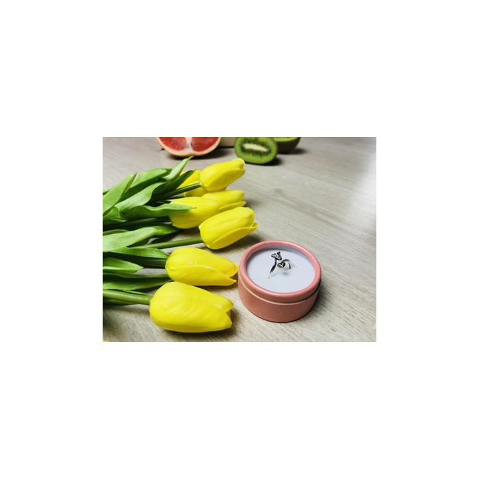 925 Sterling Silver Ring with the letter 