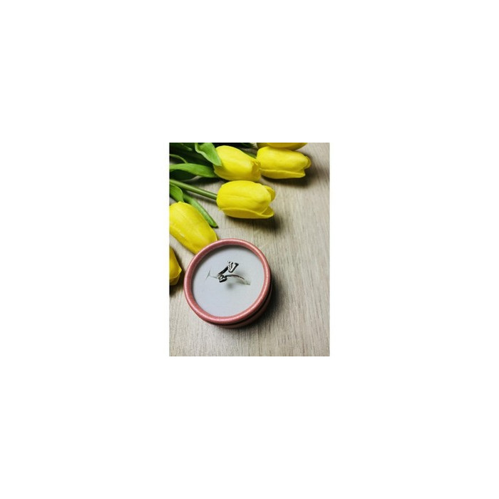 925 Sterling Silver Ring with the letter 