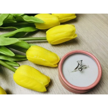 925 Sterling Silver Ring with the letter 