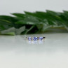 10K White Gold Iolite & Diamond Ring Size 7.5