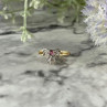 10K Yellow Gold Spinel & Diamonds 