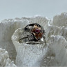 925 Sterling Silver Morganite & Goshenite 