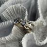 Pandora Ale 58 925 Sterling Silver Cz Ring Size 9