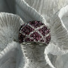 Beautiful Design 925 Sterling Silver Cz Ring Size 8