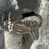 Beautiful 925 Sterling Silver Cz Ring Size 8