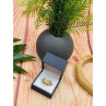 925 Sterling Silver Gold Plated CZ Ring Size 7