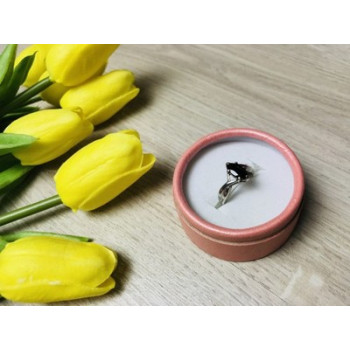 925 Sterling Silver Black Nephrite ( Jade ) Ring Size 10