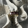 925 Sterling Silver 5 Amethysts Ring Size 8
