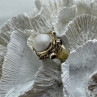 Vintage 925 Sterling Silver Mother of Pearl & Garnet Ring Size 6.5
