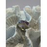 925 Sterling Silver Amethyst Ring Size 7