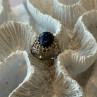 Vintage 925 Sterling Silver Sodalite Ring Size 5.5