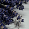 925 Sterling Silver CZ Earrings