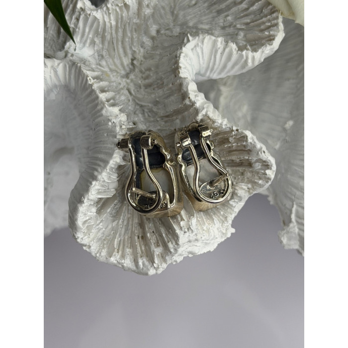 Vintage 925 Sterling Silver Abalone Earrings