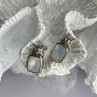 Vintage 925 Sterling Silver Abalone Earrings