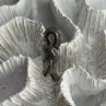 10K White Gold White & Black Diamonds Pendant