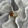 925 Sterling Silver Gold Plated Cz Ring Size 6.5