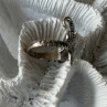 Adjustable Octopus Tentacle Wrap 925 Sterling Silver Ring Size 9