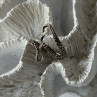 Adjustable Octopus Tentacle Wrap 925 Sterling Silver Ring Size 9