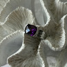 FAS 925 Sterling Silver Amethyst Ring Size 8