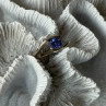 925 Sterling Silver Tourmaline Ring Size 9.5