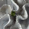 925 Sterling Silver Peridot Ring Size 10