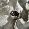 925 Sterling Silver Gold Plated Part Ring Size 7