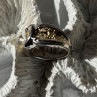 925 Sterling Silver Gold Plated Part Colorless Sapphire Ring Size 5