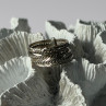 925 Sterling Silver Seven Rings Size 8.5