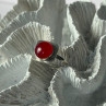 Vintage 925 Sterling Silver Red Coral Ring Size 8