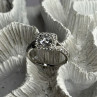 Shiny 925 Sterling Silver Cz Ring Size 10