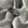 Dragonfly 925 Sterling Silver Ring Size 9