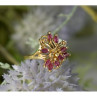 14K Yellow Gold Spinel & Diamonds Ring Size 10.5