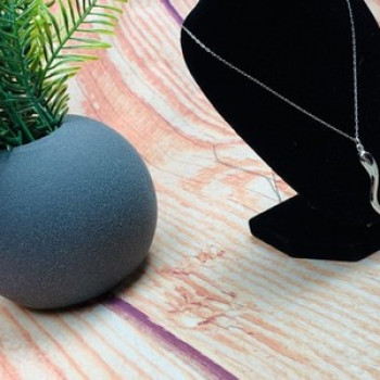 925 Sterling Silver Chain with Pendant