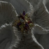 925 Sterling Silver Gold Plated Flower Multicolor Stones Ring Size 8