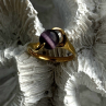925 Sterling Silver Purple Spectrolite Cats Eye Ring Size 6