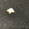 Bone pendant “Turtle”