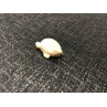 Bone pendant “Turtle”
