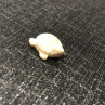 Bone pendant “Turtle”