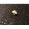 Bone pendant “Turtle”