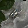 Minimalist 925 Sterling Silver Ring Size 8