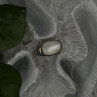 925 Sterling Silver White Abalone Mother of Pearl Ring Size 7