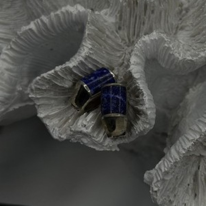 Vintage 925 Sterling Silver Sodalite Earrings