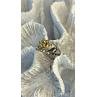 Elegant 925 Sterling Silver Yellow Citrine Ring Size 8
