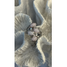 925 Sterling Silver Peruvian Pink Opal & White Colorless Beryl Ring Size 8