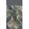 Floral 925 Sterling Silver Tanzanite Ring Size 7