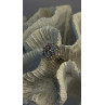 Floral 925 Sterling Silver Tanzanite Ring Size 7
