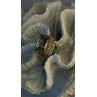 Vintage Style 925 Sterling Silver Quartz Stone Ring Size 6