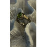 925 Sterling Silver & 10K yellow Gold Part Peridot & Diamonds Ring Size 7
